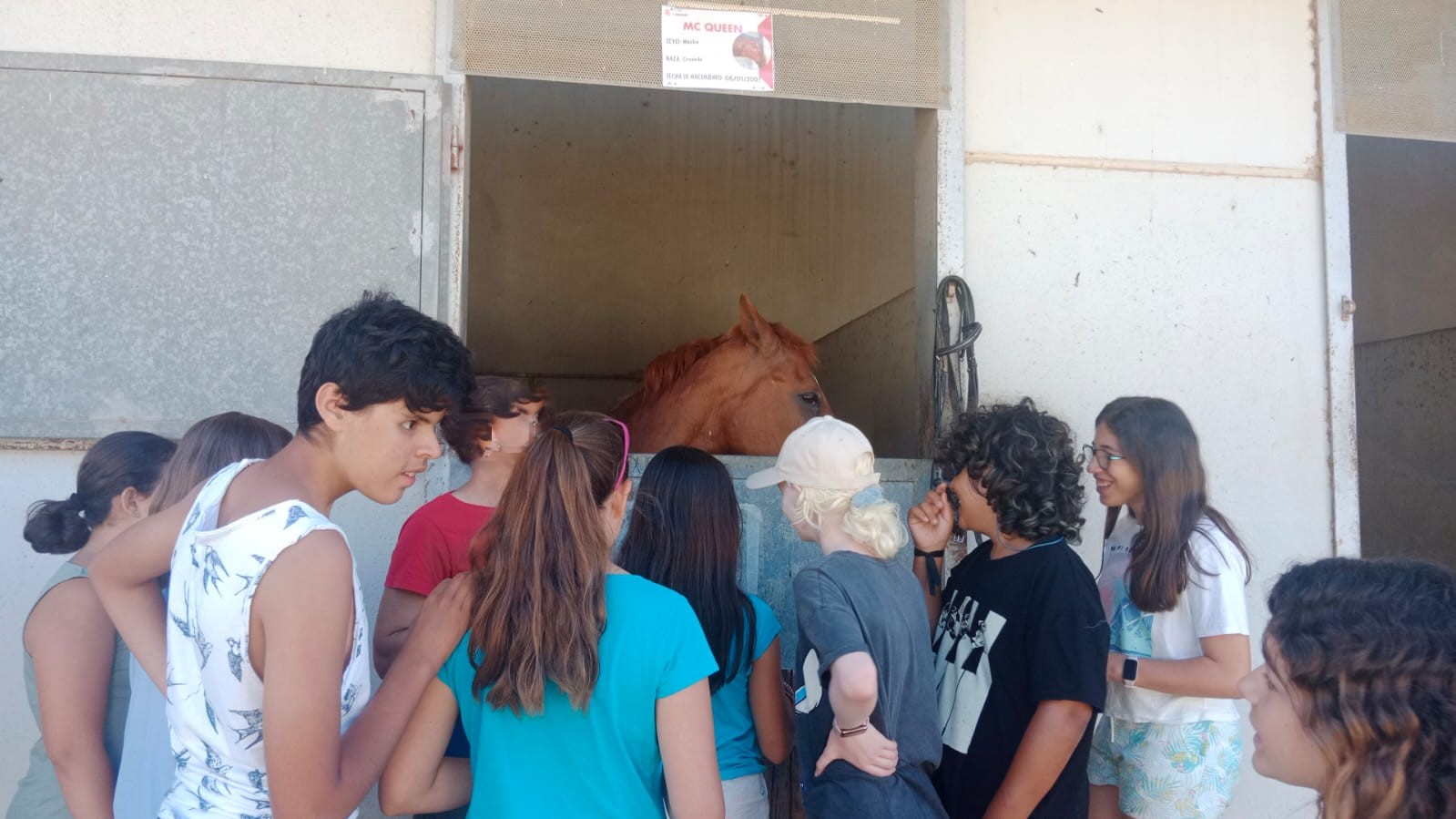 Niños alrededor de un caballo