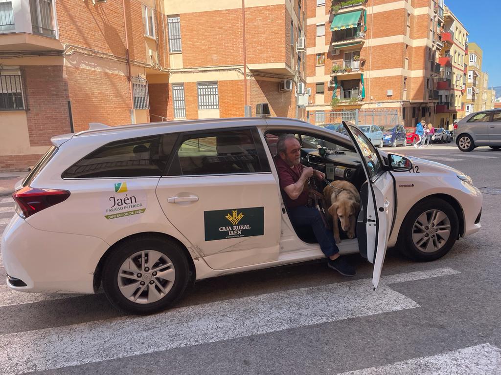 Juan Muñoz entra en un taxi en Jaén con su perro guía
