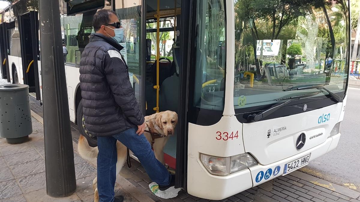 Luis Ferre subiendo a un autobús de Almería con su perro guía