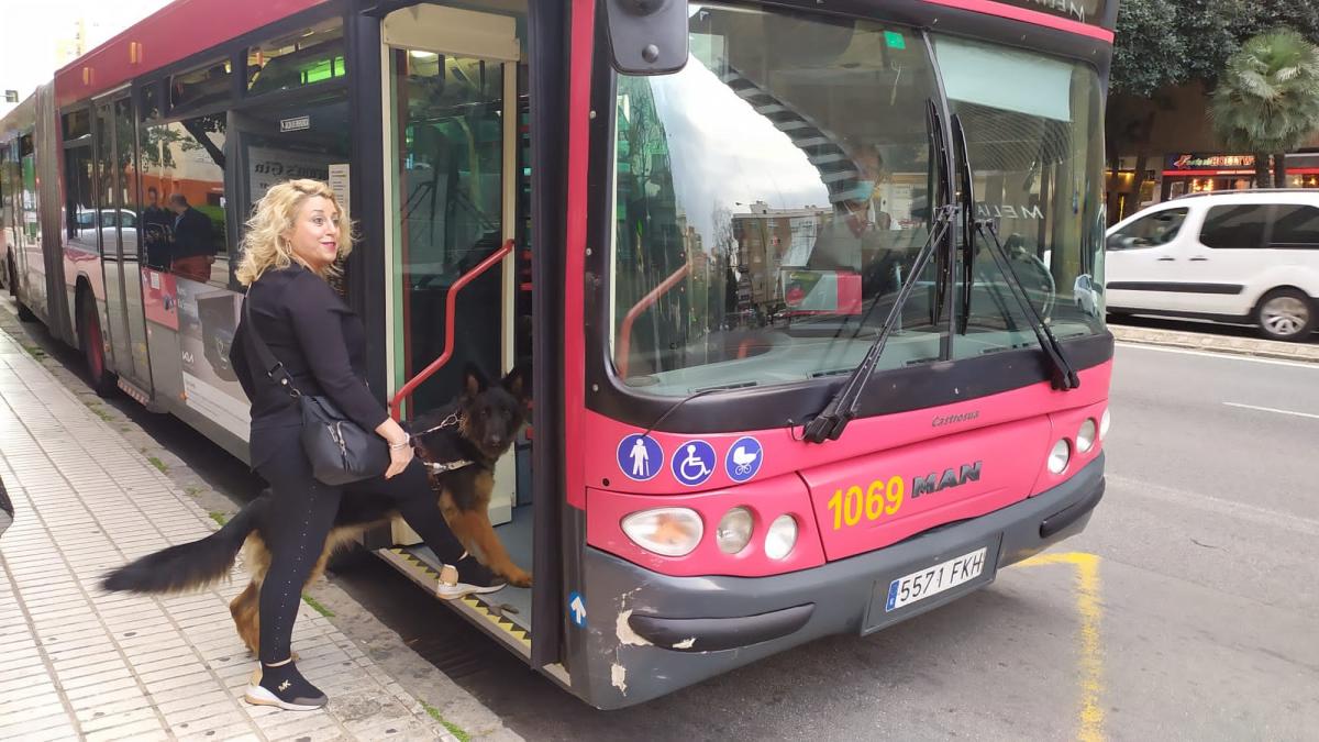 Maite Espinosa con su perra guía Enja subiendo a un autobús de Sevilla