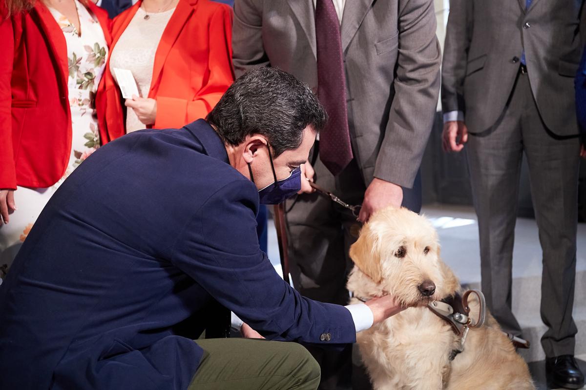 Gesto cariñoso de Moreno a Lui, el perro guía del director de la ONCE en Granada, Alberto Morillas