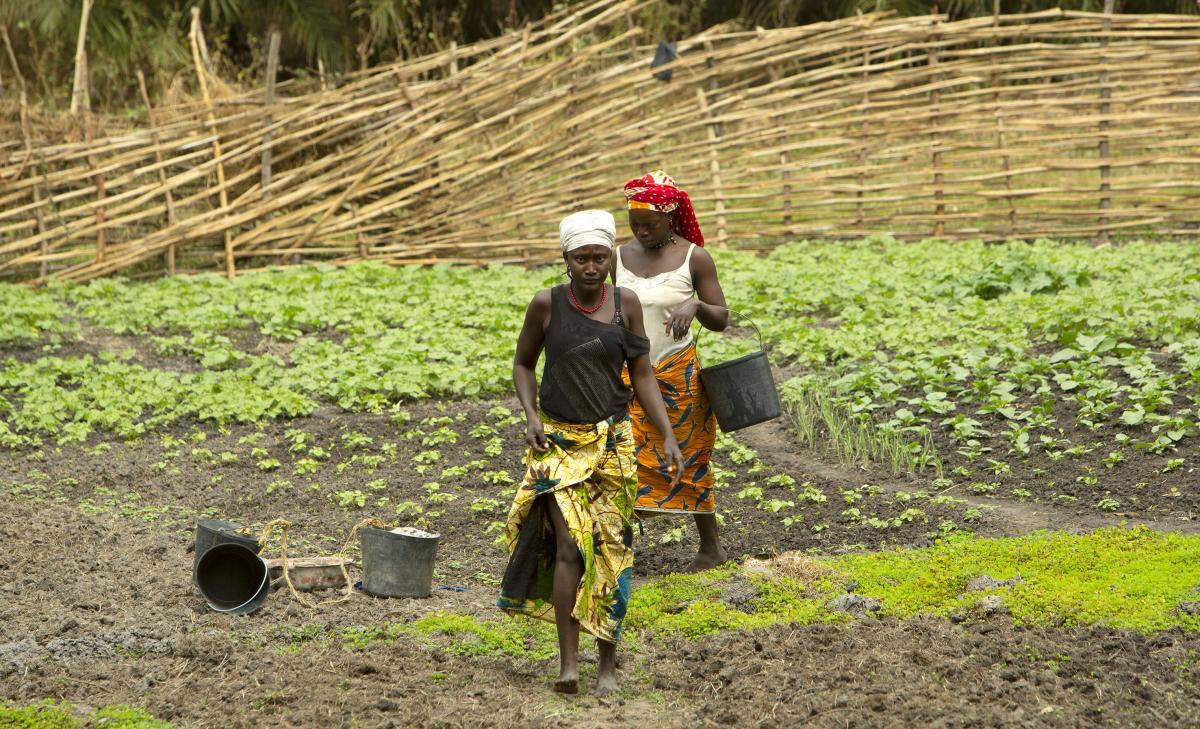La agricultura es la principal fuente de economía de las familias en Guinea Bissau