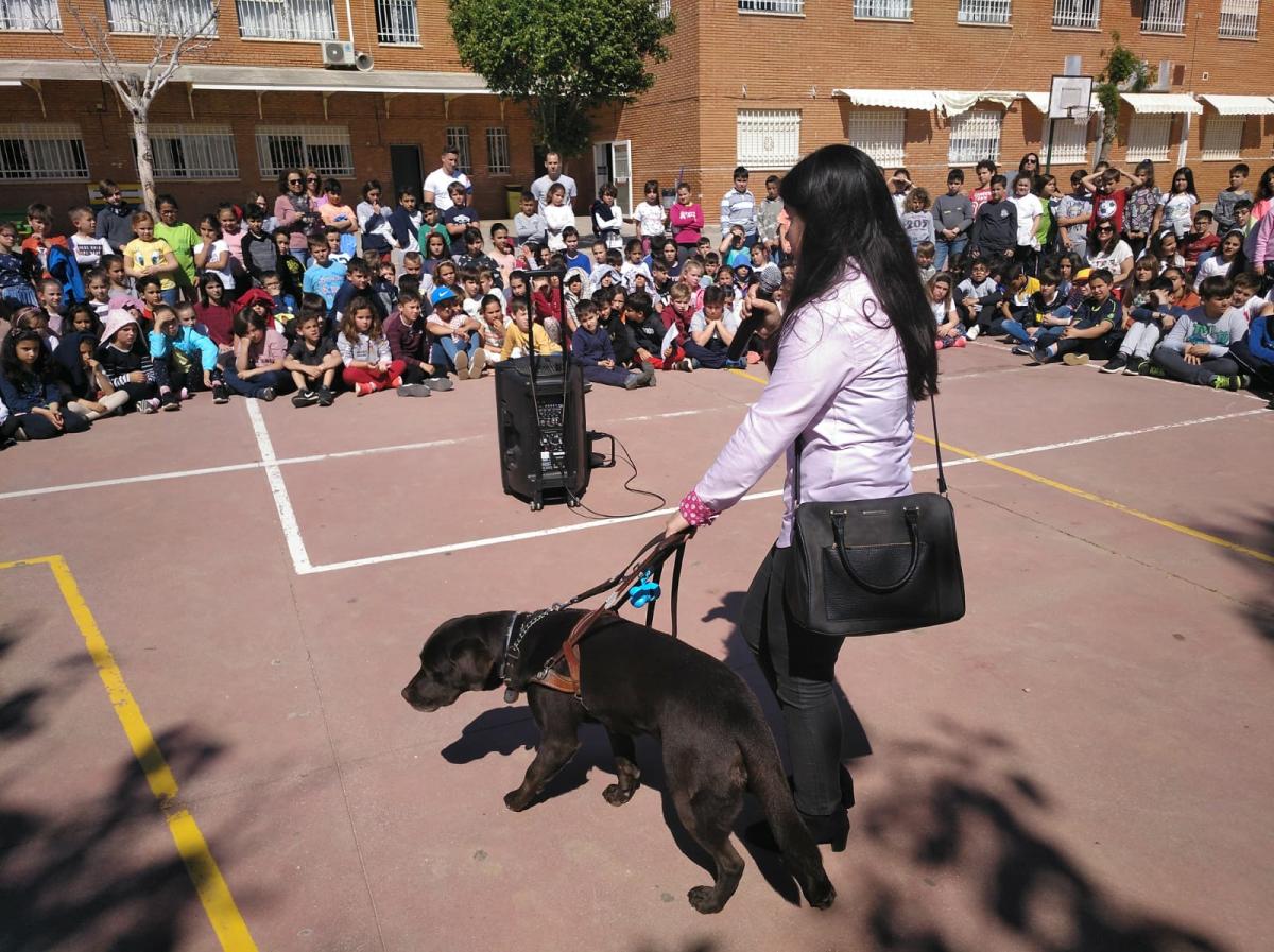 Exhibición de perros guía ante alumnos de centros educativos en Vélez-Málaga