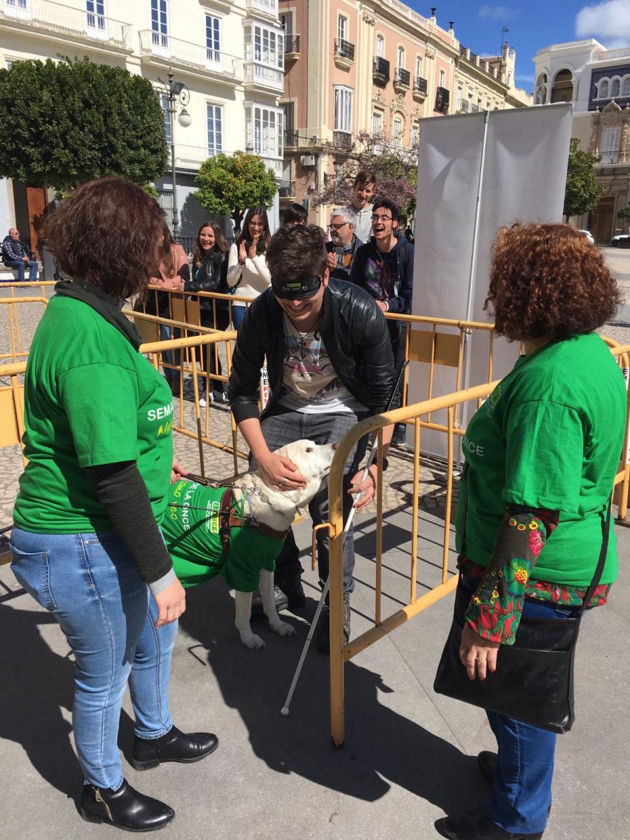 El centro de Cádiz disfrutó de una exhibición de perros guía
