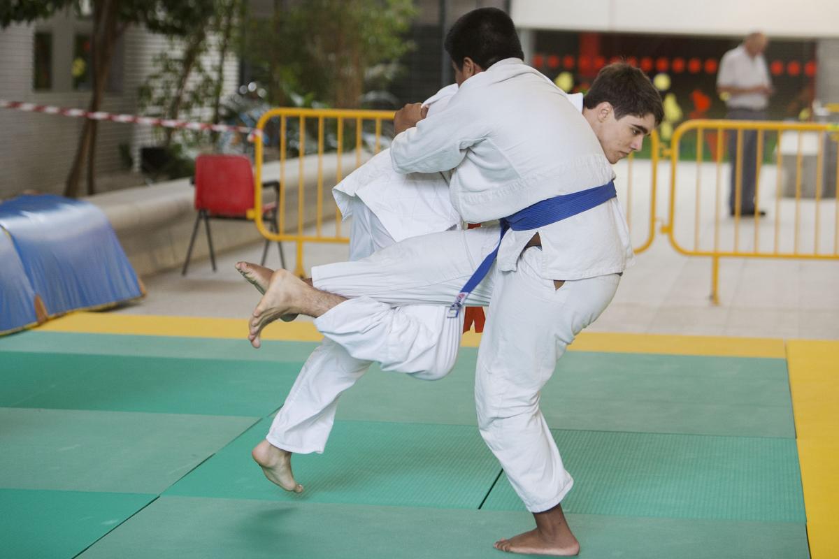 competición de judo