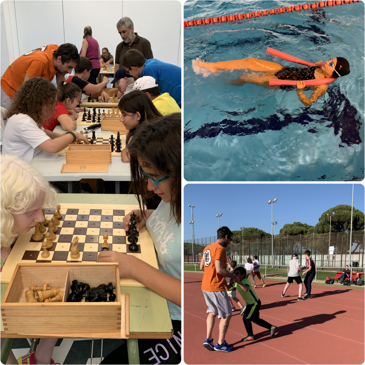 La jornada incluyó actividades de ajedrez, natación, atletismo y judo