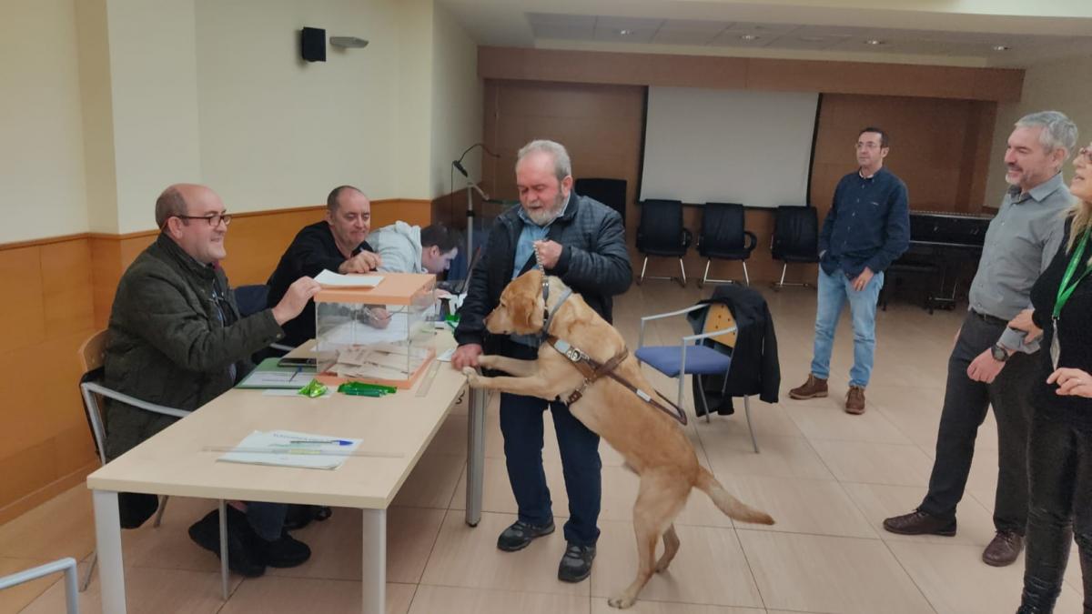 El afiliado jienense Juan Muñoz acudió a votar con su perro guía Bowser y casi vota hasta él