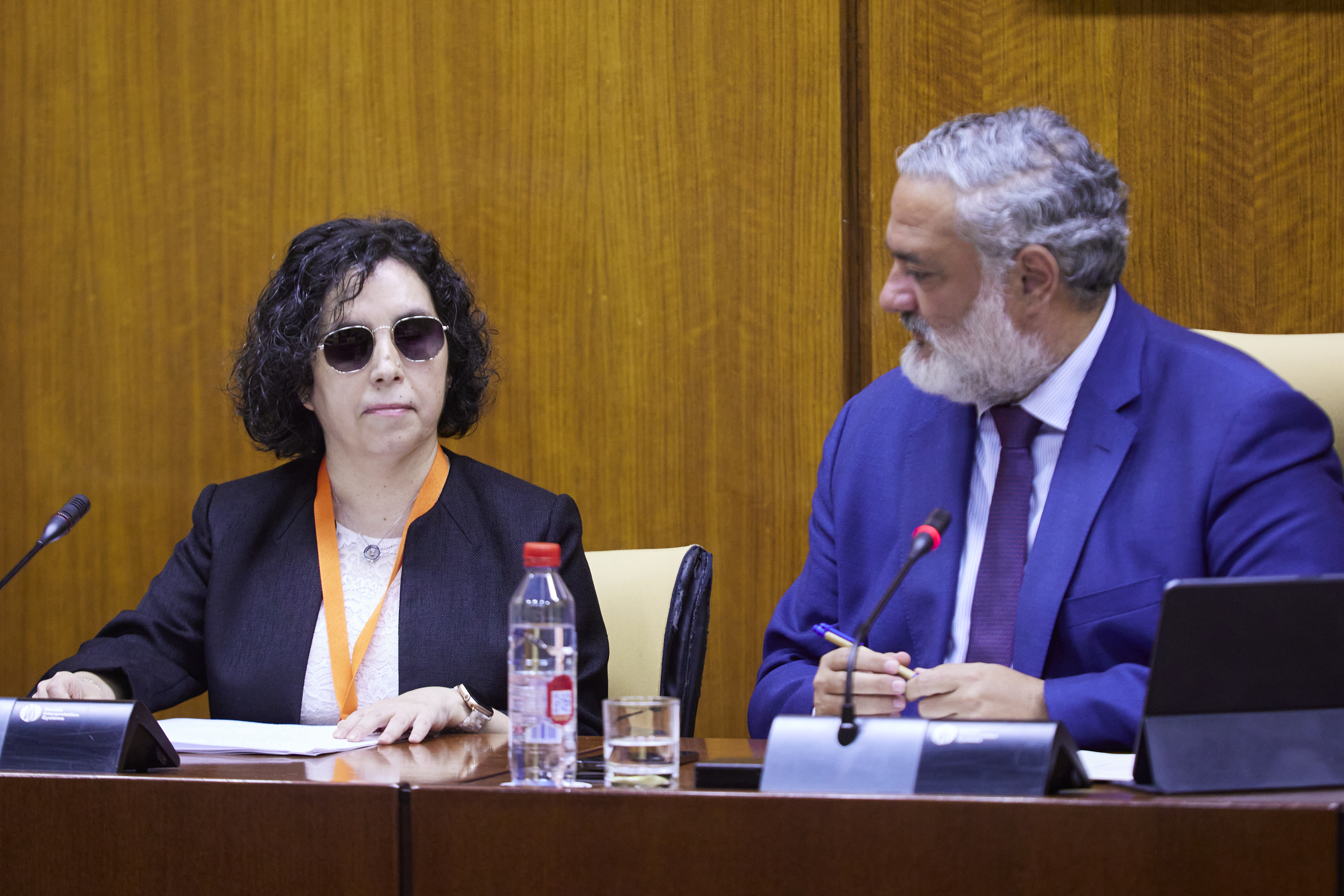 Comparecencia de la presidenta del Consejo Territorial de la ONCE, Isabel Viruet, ante el Parlamento de Andalucía