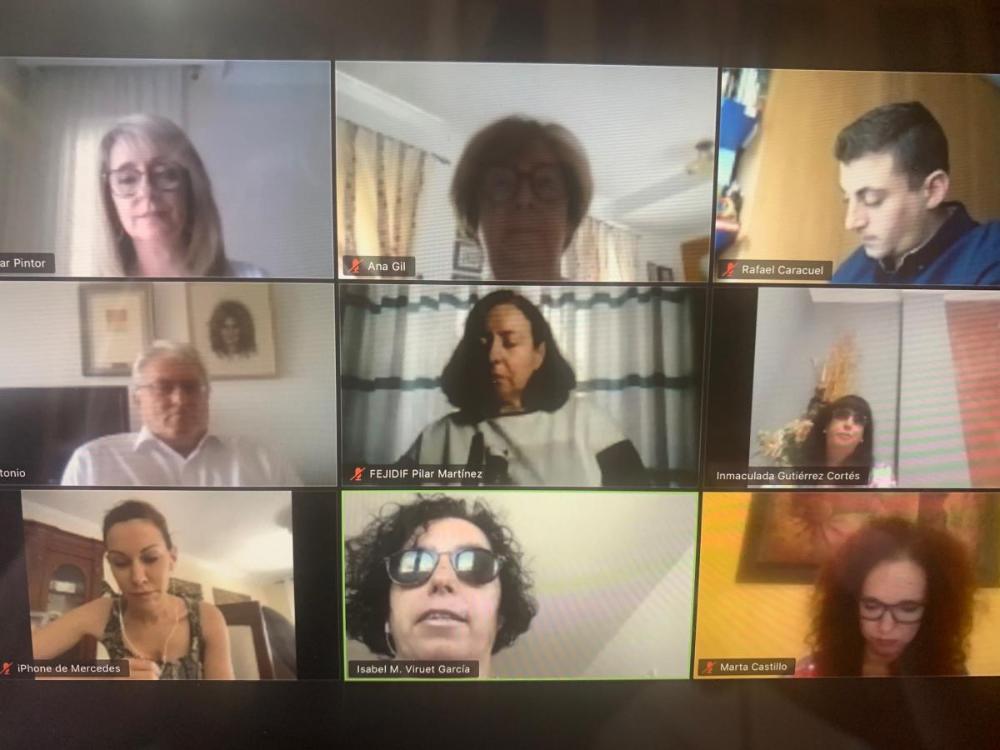 Un momento del encuentro virtual que mantuvieron la Comisión de Discapacidad del Parlamento con el CERMI-A