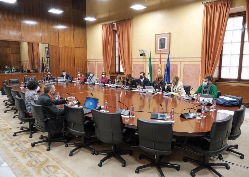 Todos los grupos de la Cámara expresaron su gratitud al Grupo Social ONCE por su contribución al nuevo proyecto de ley
