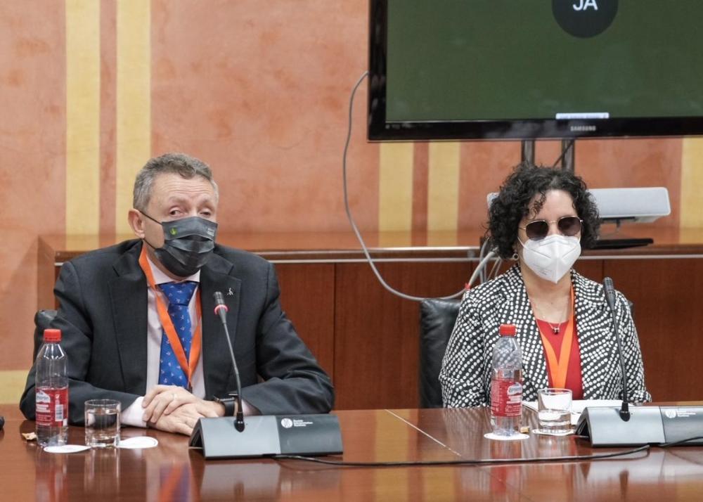 El delegado de la ONCE, junto a la presidenta del Consejo Territorial, pidió a los Grupos que sean ambiciosos para conseguir la mejor ley
