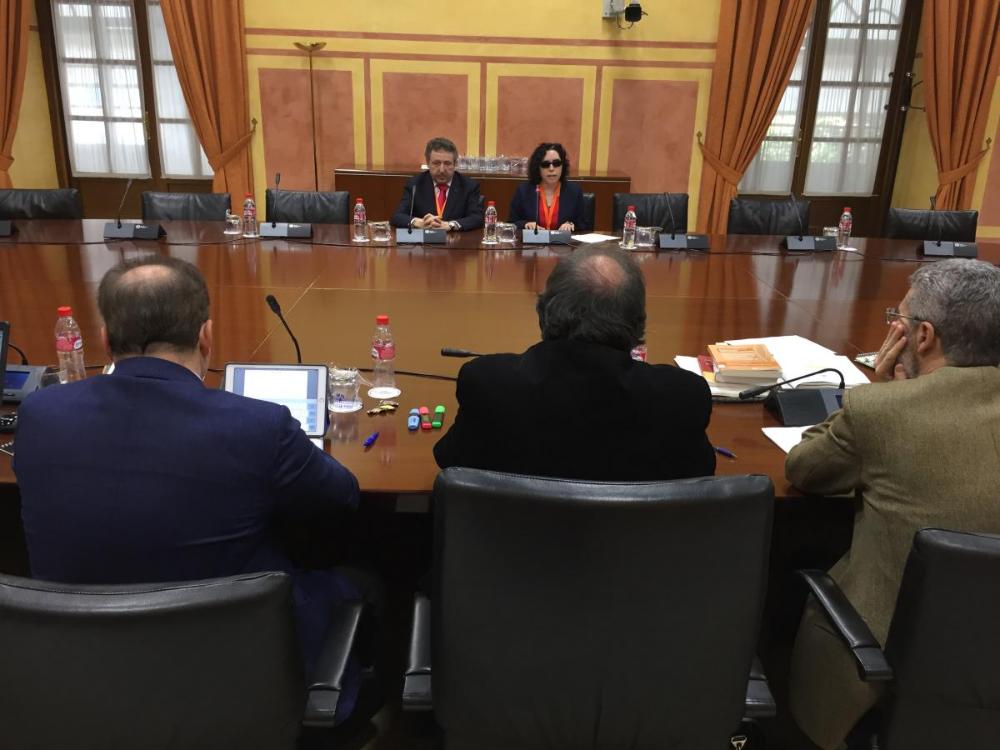 Otro momento de la intervención de la presidenta del Consejo Territorial en el Parlamento