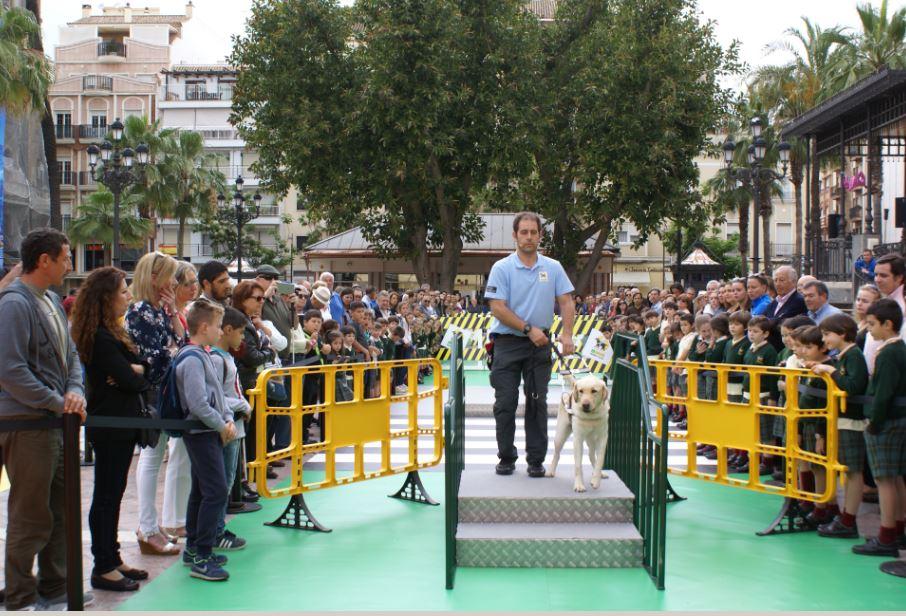 Exhibición de perros guía en Huelva