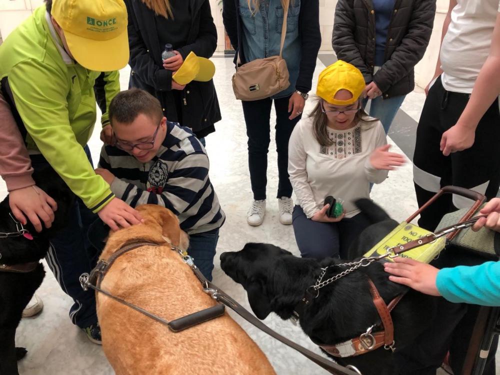 Los perros guía acapararon la atención de los visitantes al Túnel de los Sentidos en Sevilla
