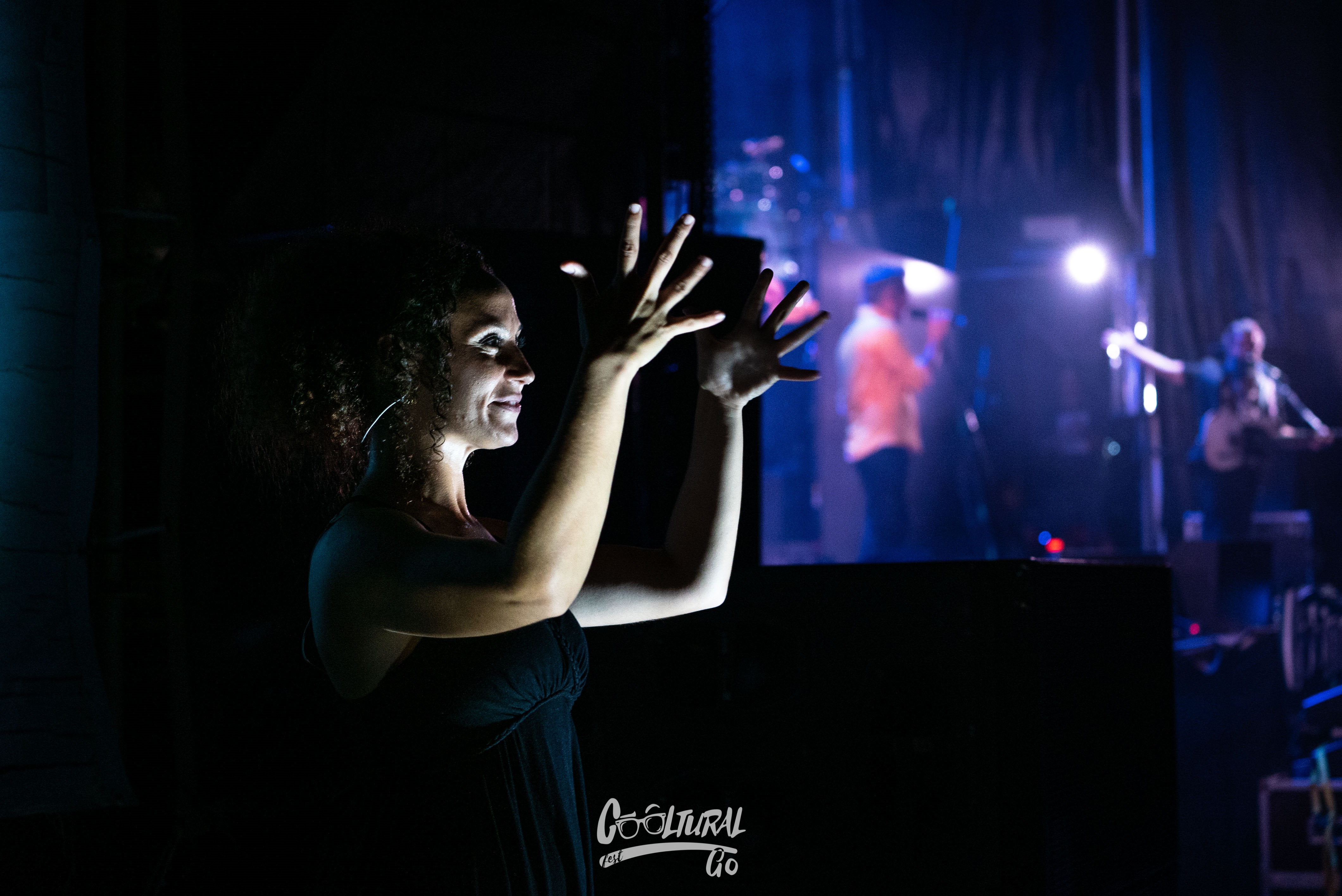 interprete_lse_concierto_love_of_lesbian.jpg