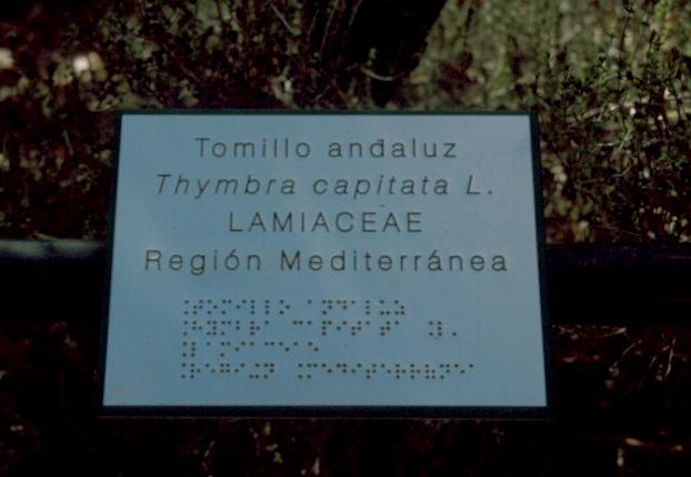 El Jardín Botánico de Córdoba es una visita obligada y romántica