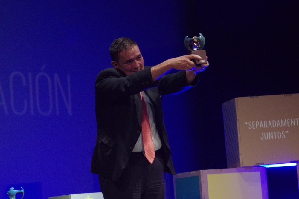 El director de Publicaciones de Diario Sur, Pedro Luis Gómez, recoge el premio en la categoría de Medio de Comunicación al Diario Sur