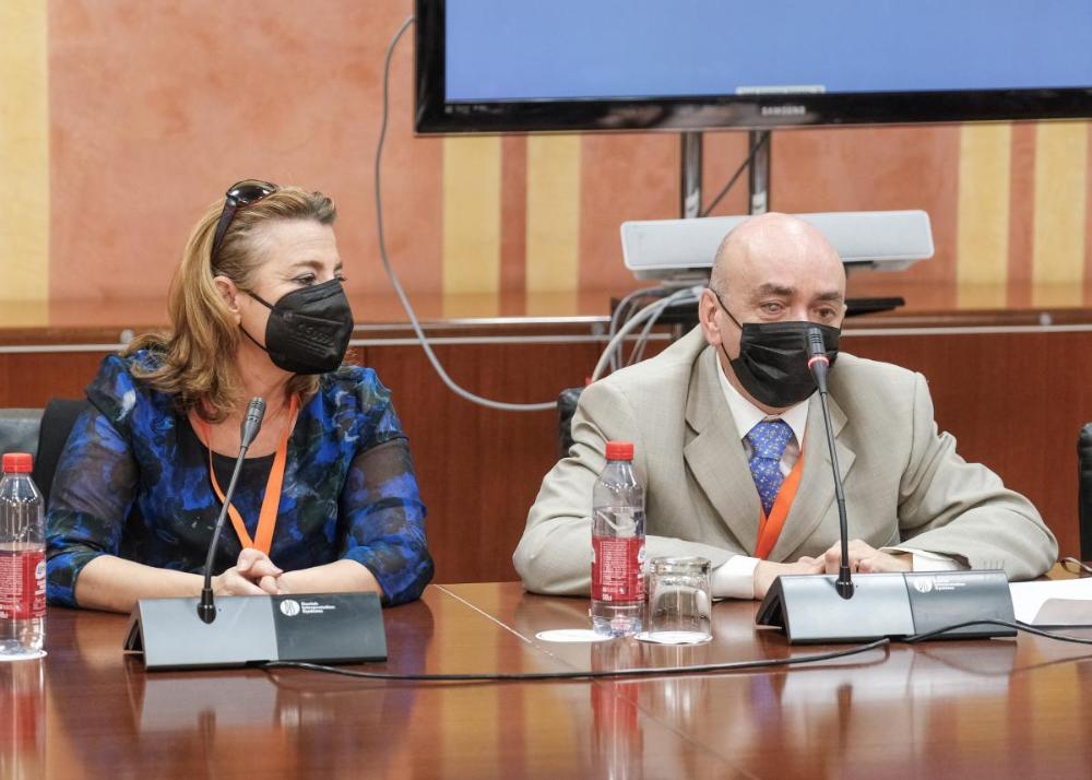 Vicente Arroyo y Paqui Ayllón durante su comparecencia ante la Comisión de Igualdad