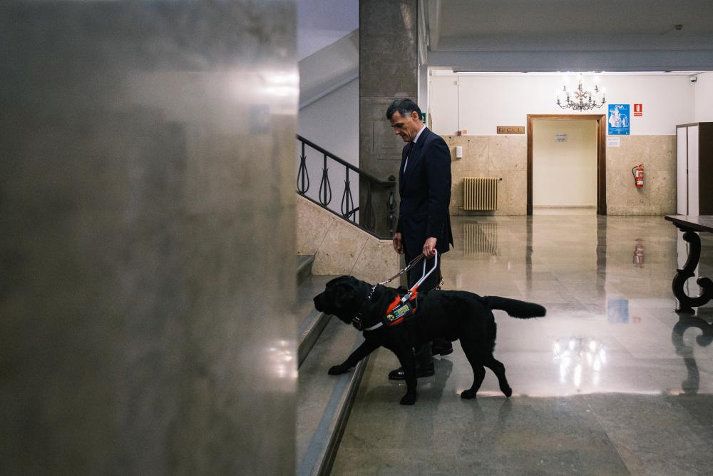 El magistrado y su perro guía subiendo por las escaleras de la Audiencia