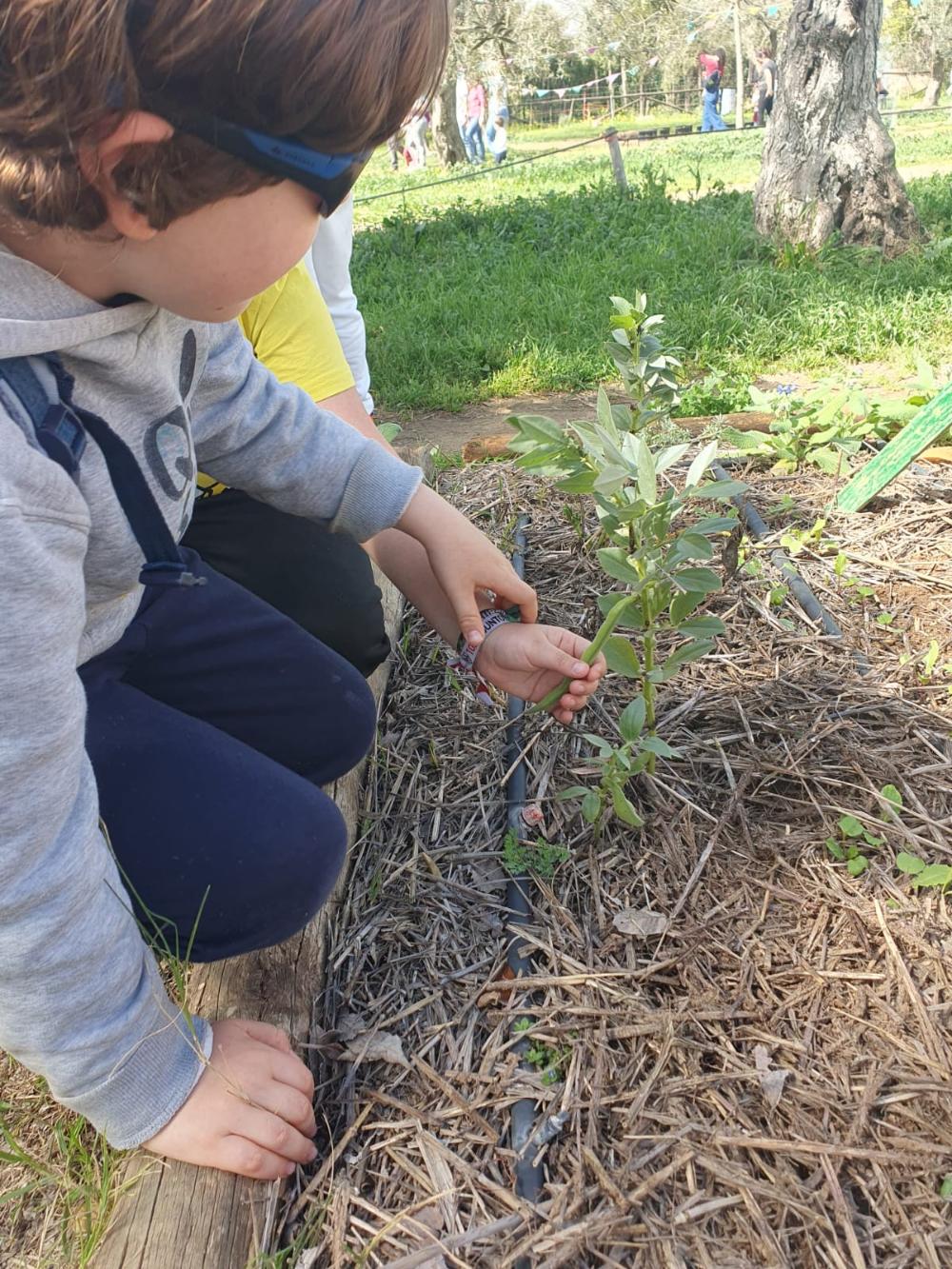Niño con plantas