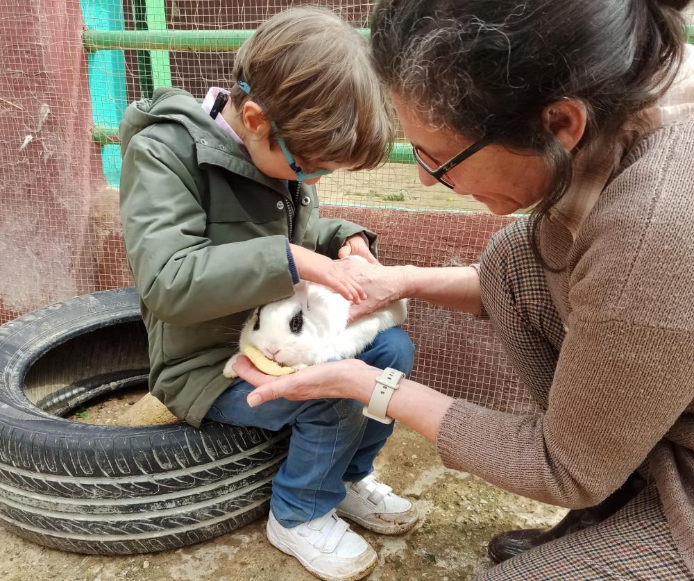 Un niño reconoce y acaricia un conejo de la granja
