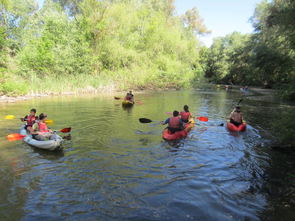 Actividad de Parque en Altura: Alumnos-as colgados de puentes suspendidos