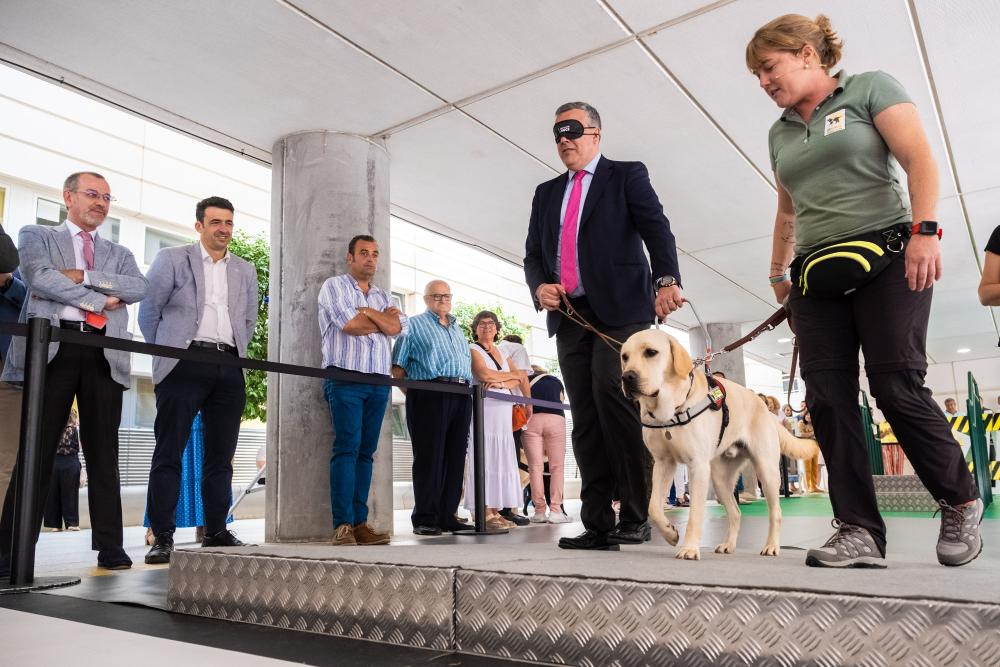 Exhibición de perros guía