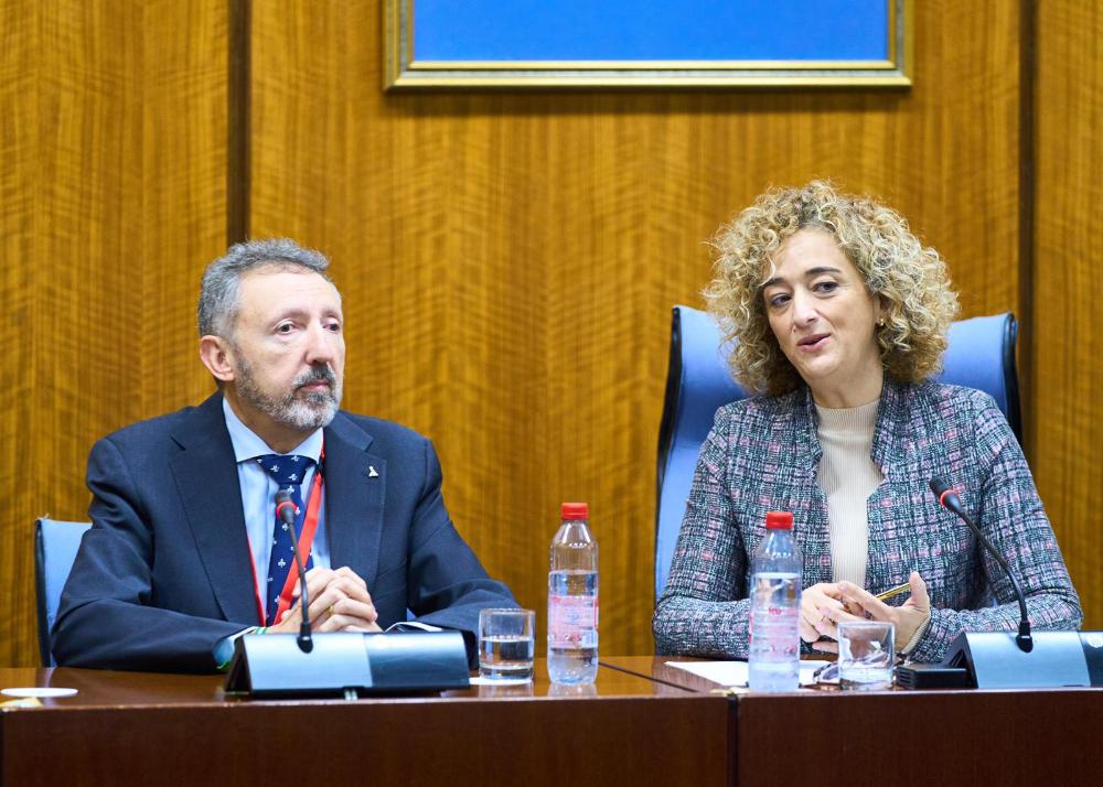 El delegado de la ONCE junto a la presidenta de la Comisión de Discapacidad