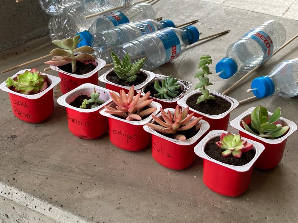 Trabajos realizados por los alumnos en el taller de huerto