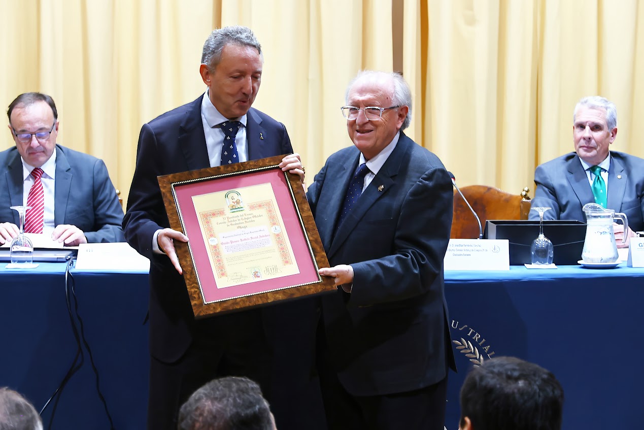 Entrega del Premio de Justicia Social Andalucía a la ONCE