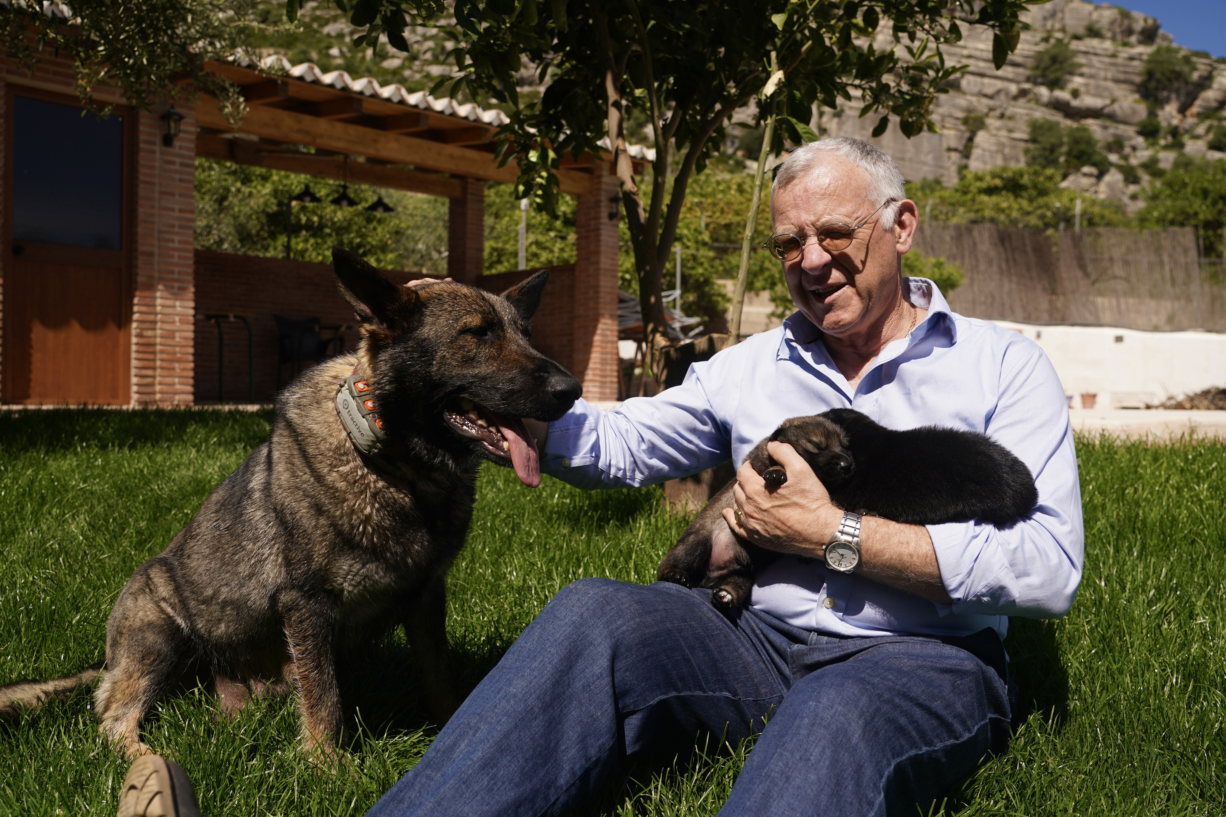 Luque sentado en el césped con sus perros