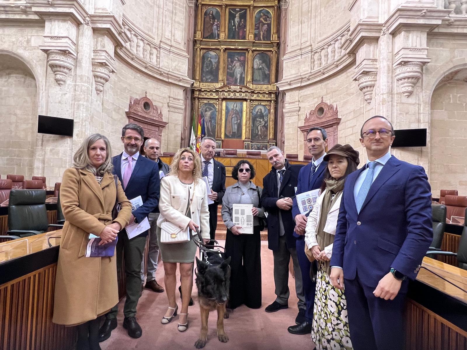 El grupo de la ONCE en el Salón de Plenos