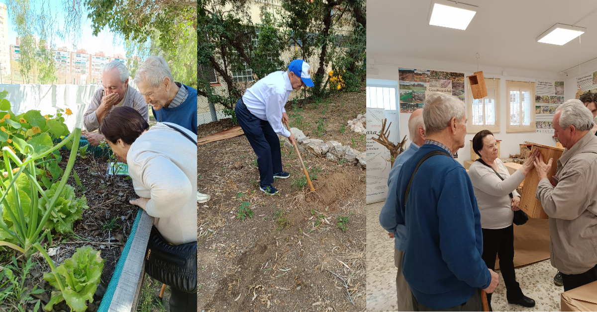 Los tres integrantes cultivando, arando y descubriendo contenido sobre la fauna local